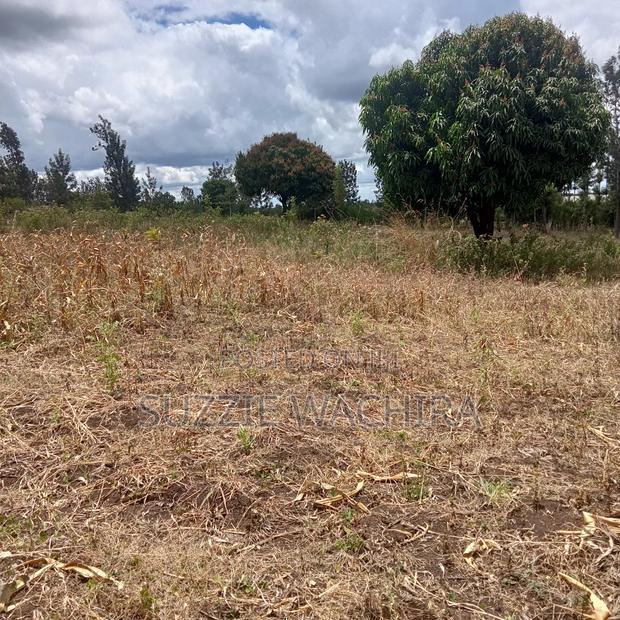 Residential Plots for Sale at Kenol Kimorori at 1.5M