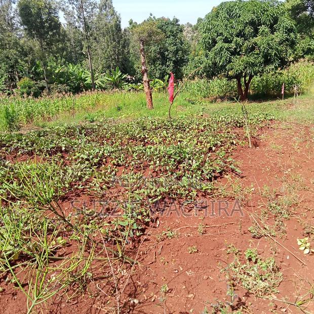Kenol Town Plots for Sale Along Catholic Road