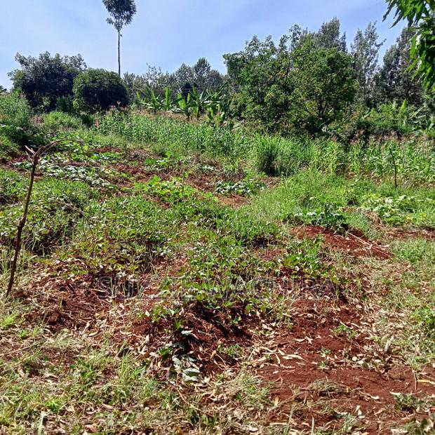 Kenol Town Plots for Sale Along Catholic Road