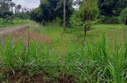 40*80 Kenol Commercial/Residential Plots for Sale