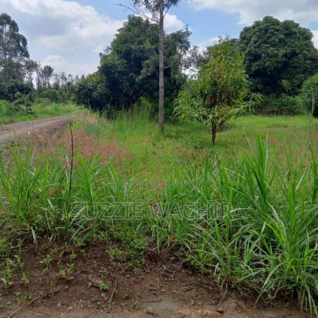 40*80 Kenol Commercial/Residential Plots for Sale