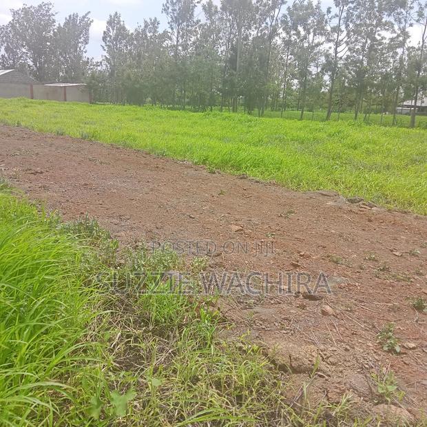 Kenol Plots Along Katipanga Road Measuring 50*100ft For Sale