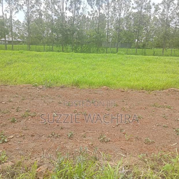 Kenol Plots Along Katipanga Road Measuring 50*100ft For Sale