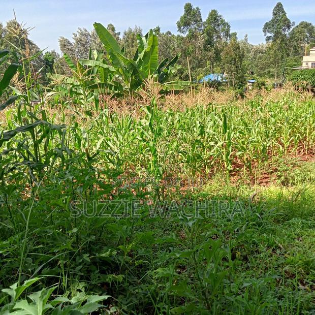 Kenol Town Plots for Sale Along Catholic Road