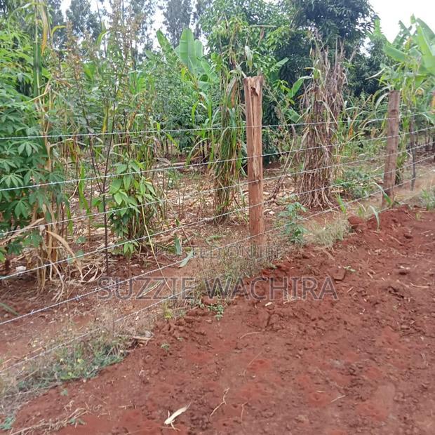 Makuyu 50*100ft Plots for Sale Near Muranga Teacher's