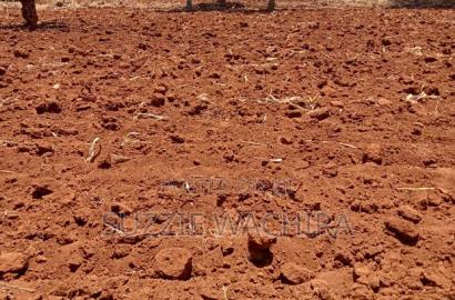 50*100 Plots for Sale at Mwea in Kirinyaga County