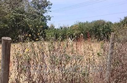 100x100ft Plot for Sale at Kenol Touching Kenol Marua Highwa