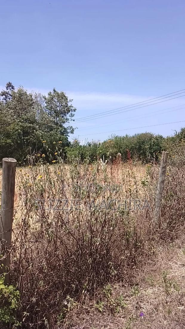 100x100ft Plot for Sale at Kenol Touching Kenol Marua Highwa