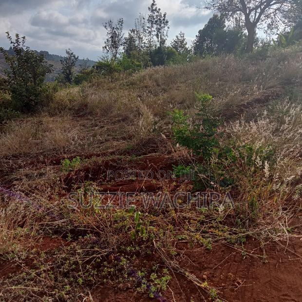 Affordable 50*100ft Plots for Sale at Kenol Kagia Road
