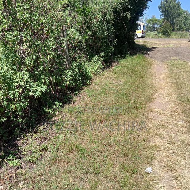 100x100ft Plot Touching Kenol Marua Highway at Kenol