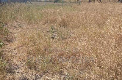Three 50*100ft Plots Remaining at Kenol Katipanga