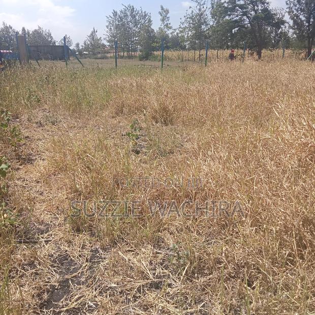 Three 50*100ft Plots Remaining at Kenol Katipanga