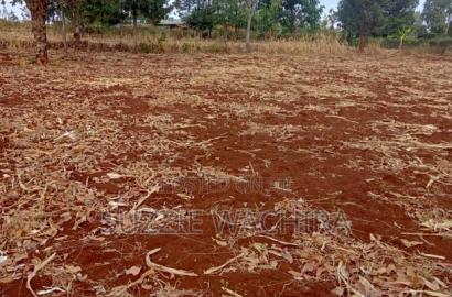 50x100ft Plots for Sale at Mwea P. I for 950,000