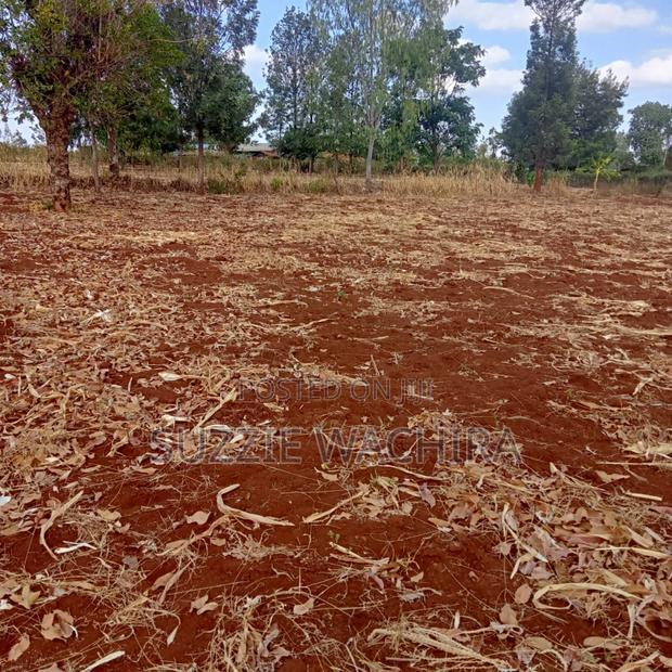 50x100ft Plots for Sale at Mwea P. I for 950,000