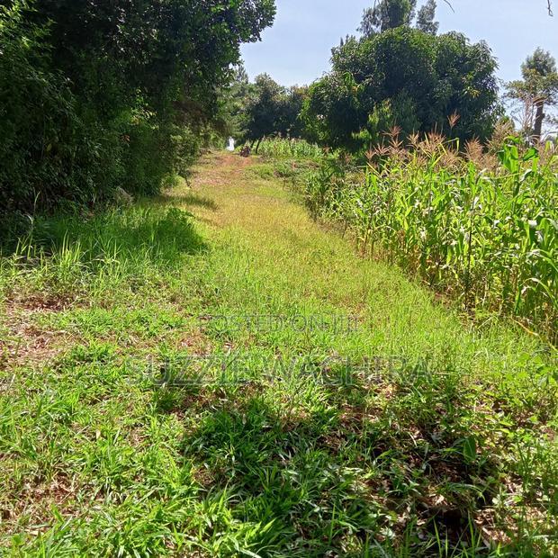 40*80ft Plots at Kenol Town in Muranga County
