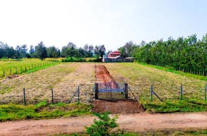 Kenol Plots For Sale At Katipanga.50*100ft Pay In 6months