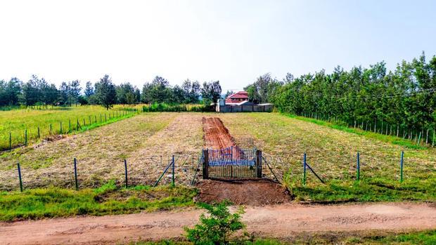 Kenol Plots For Sale At Katipanga.50*100ft Pay In 6months