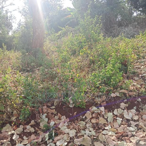 40*80ft Plots for Sale at Kenol Along Kagia Road in Muranga