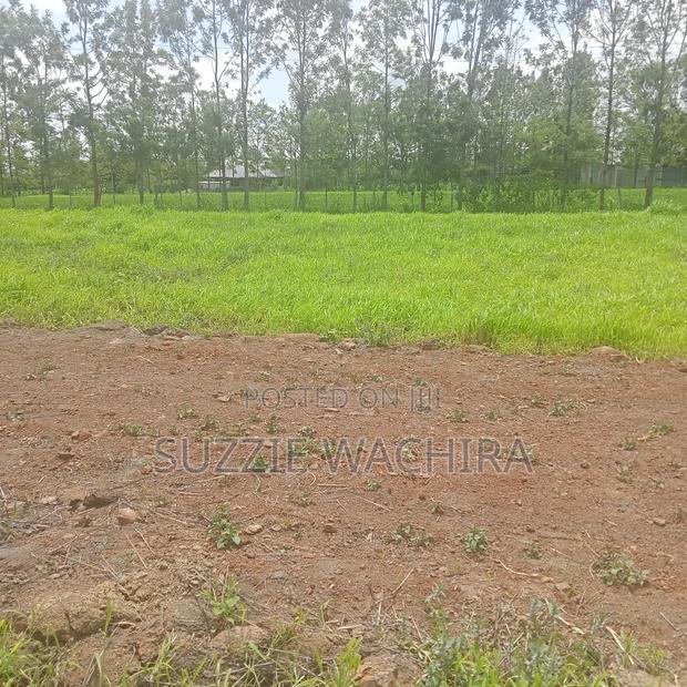 Kenol Katipanga Plots for Sale