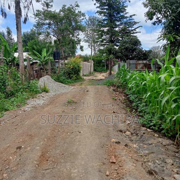 40*80 Kenol Commercial/Residential Plots for Sale