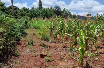 40x80ft Plots at Kenol Town for Sale