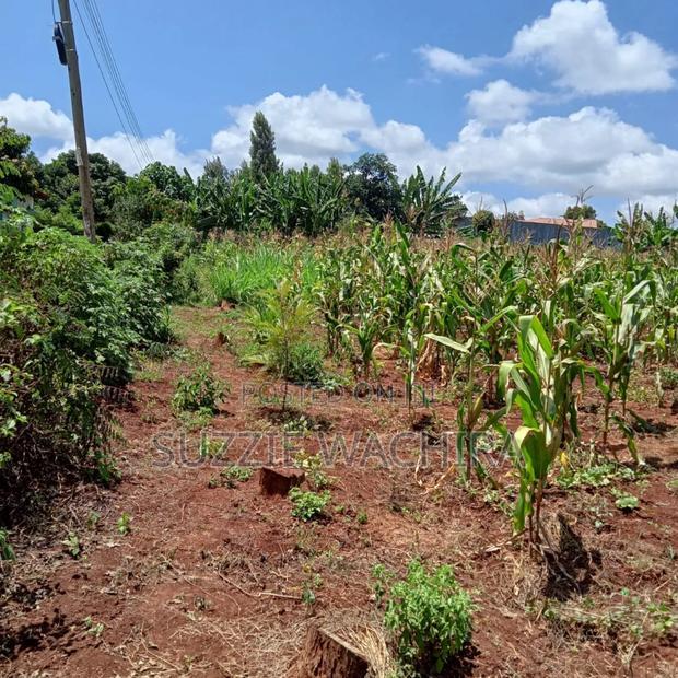 40x80ft Plots at Kenol Town for Sale