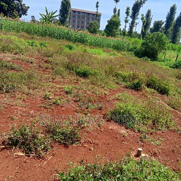 40x90ft Plots for Sale at Kenol Near St Ann High School