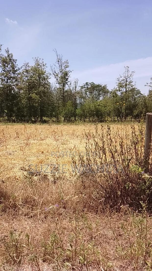 100x100ft Plot for Sale at Kenol Touching Kenol Marua Highwa
