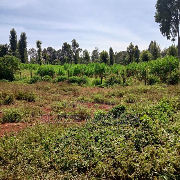 40x90ft Plots for Sale at Kenol Near St Ann High School