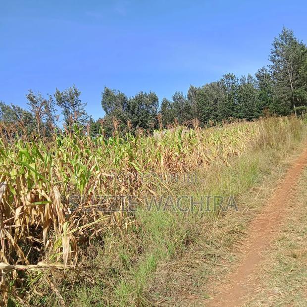 1/2acre Land for Sale at Kenol Muranga County