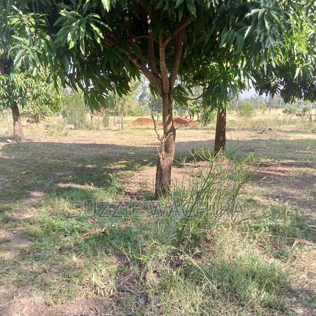 11/4 Acre Land at Kenol Kimorori for Sale in Muranga County