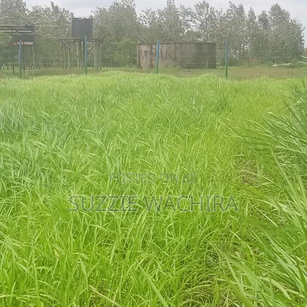 Kenol Katipanga Plots for Sale