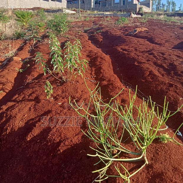 40x90ft Plots at Kenol Kagia Road for Sale Off OJ Hotel