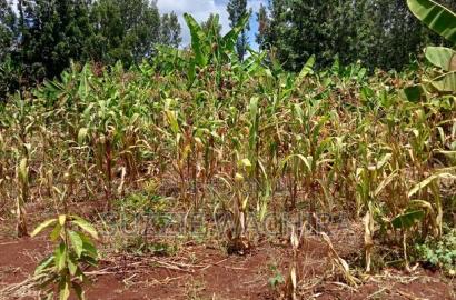 Kenol Plots for Sale Measuring 40*80ft