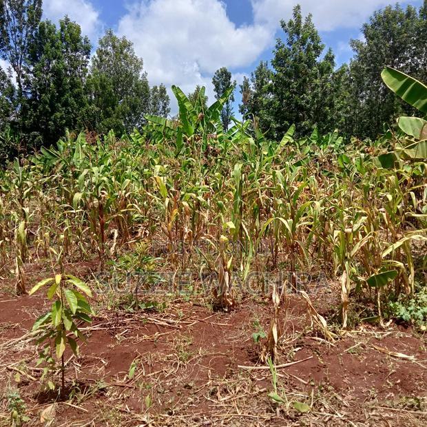 Kenol Plots for Sale Measuring 40*80ft