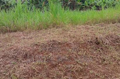 Makuyu 50*100ft Plots for Sale Near Muranga Teacher's
