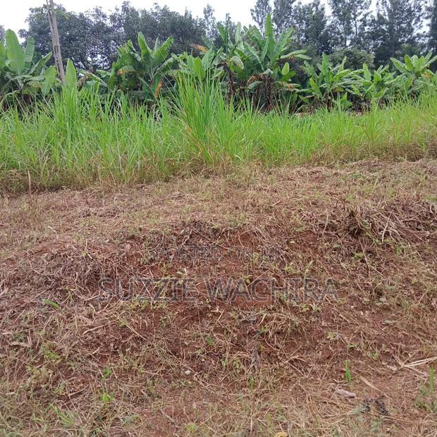 Makuyu 50*100ft Plots for Sale Near Muranga Teacher's