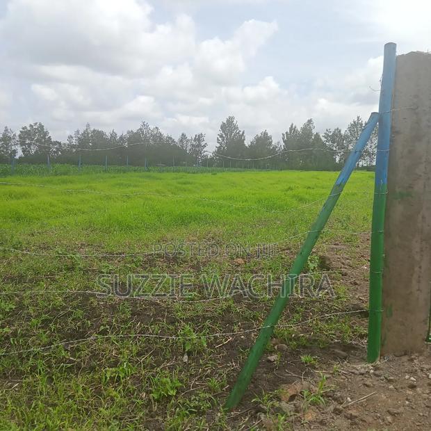 Kenol Plots Along Katipanga Road Measuring 50*100ft For Sale