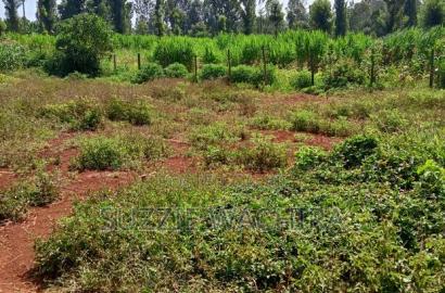 40x90ft Plots for Sale at Kenol Near St Ann High School