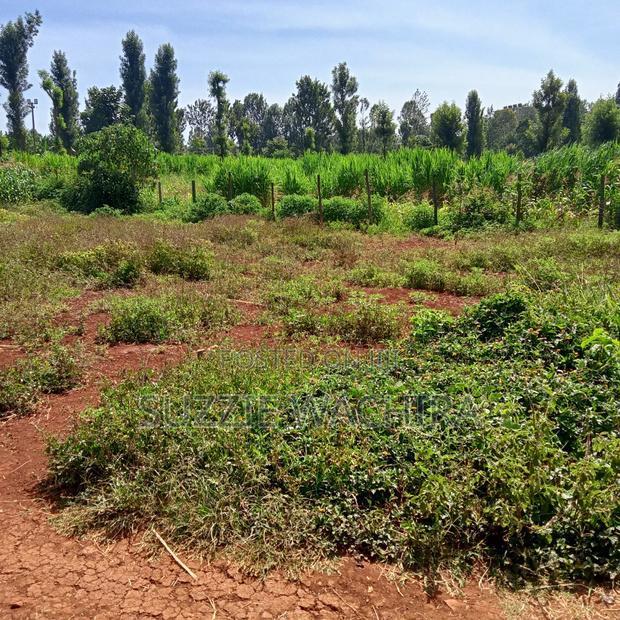 40x90ft Plots for Sale at Kenol Near St Ann High School