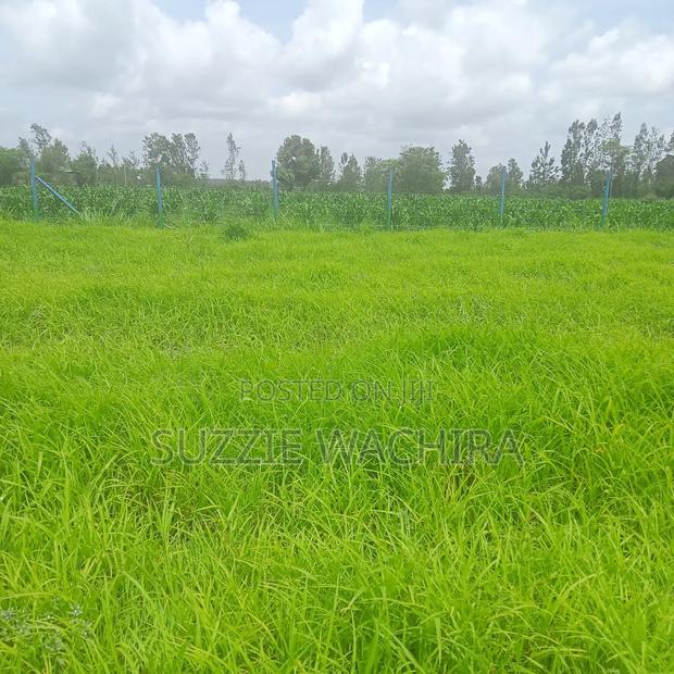 Kenol Katipanga Plots for Sale