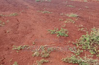 Affordable 50*100ft Plots for Sale at Kenol Kagia Road