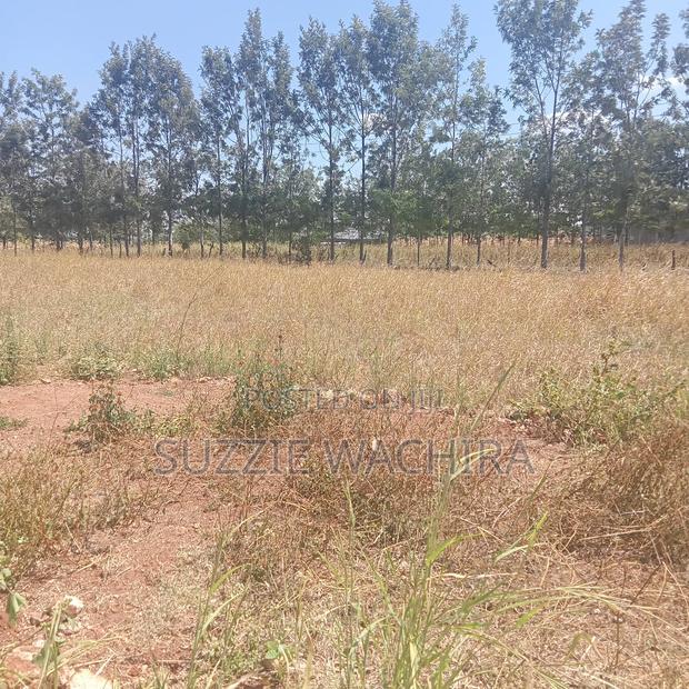 Three 50*100ft Plots Remaining at Kenol Katipanga
