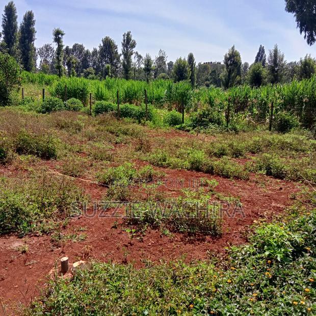 40x90ft Plots for Sale at Kenol Near St Ann High School