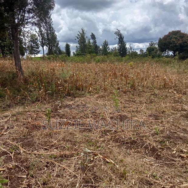 Residential Plots for Sale at Kenol Kimorori at 1.5M
