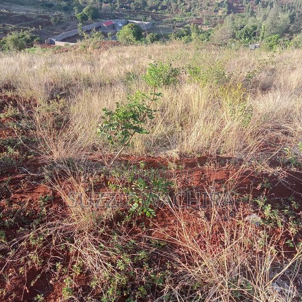 50x100ft Plots for Sale at Kenol Branching at P.C.E.A