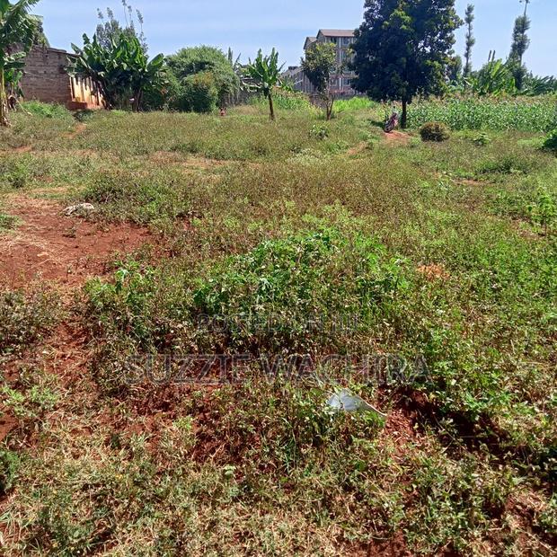40x90ft Plots for Sale at Kenol Near St Ann High School