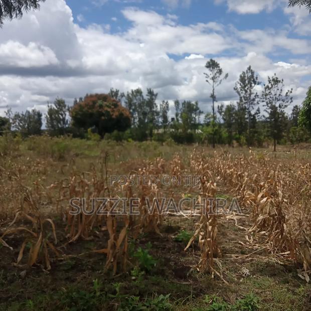 Residential Plots for Sale at Kenol Kimorori at 1.5M