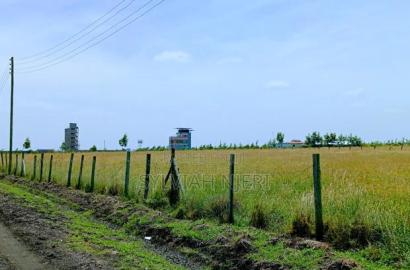 50by 100 Plots for Sale in Kitengela