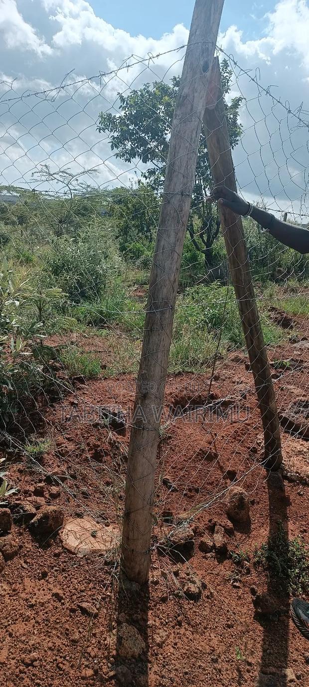 Plots for Sale 100 Metres Off Tarmac